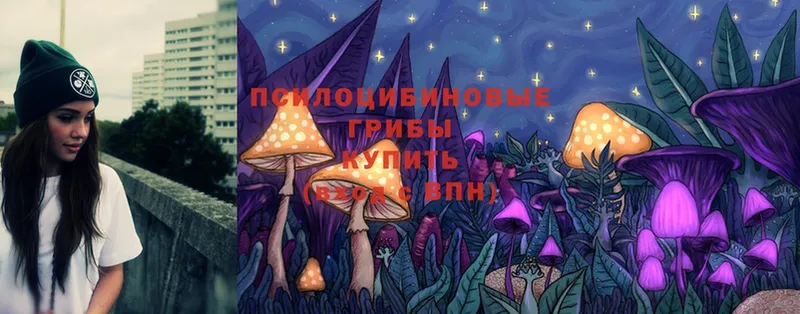 Псилоцибиновые грибы Cubensis  Омск 